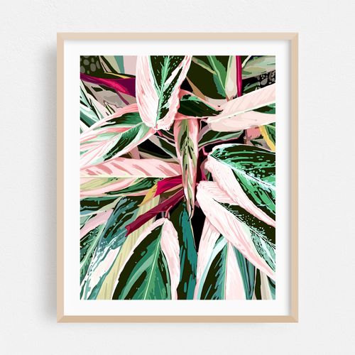 Tropical Variegated Houseplant