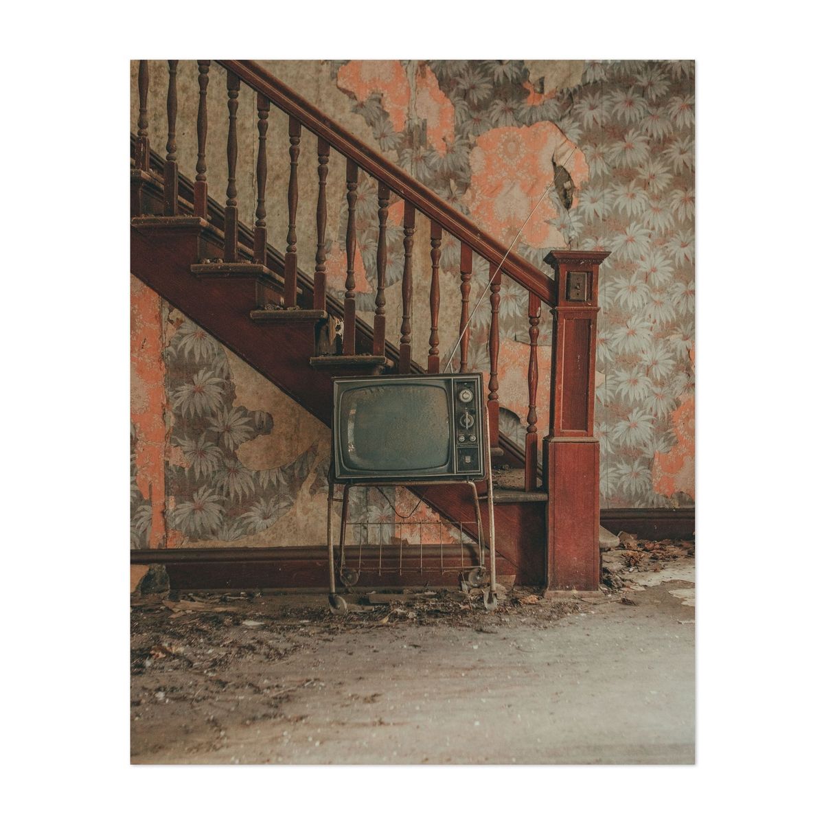Elmwood House Interior 02 – image 1 of 2