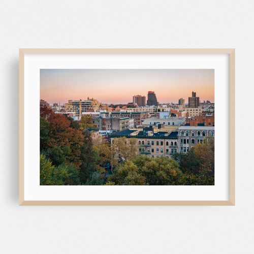 Morningside Autumn 01