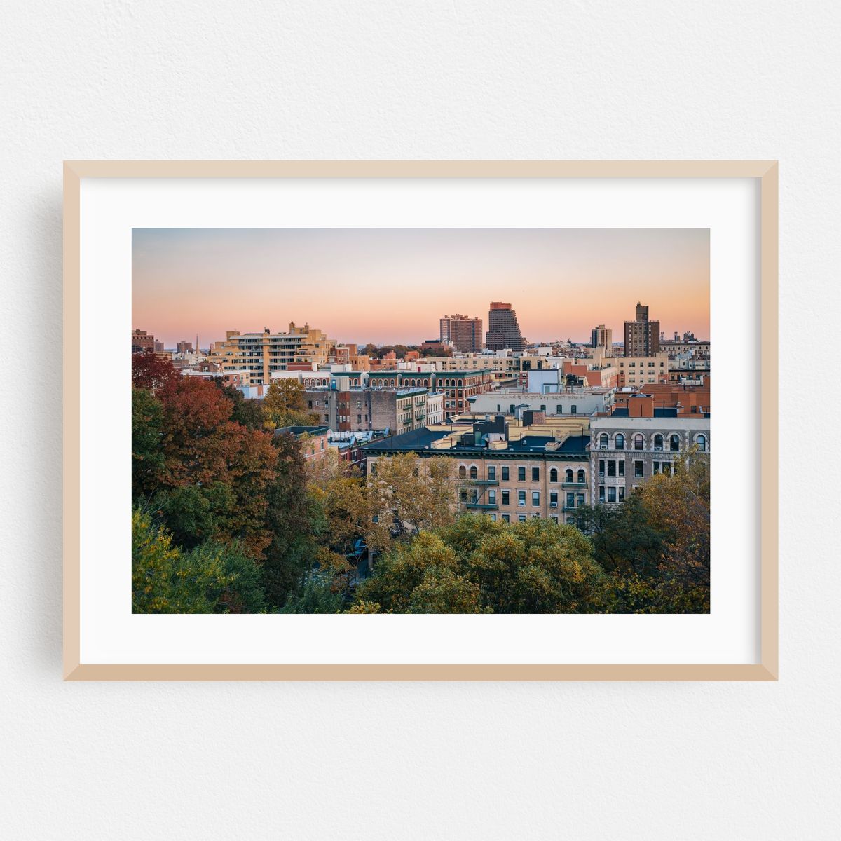 Morningside Autumn 01 – image 1 of 6