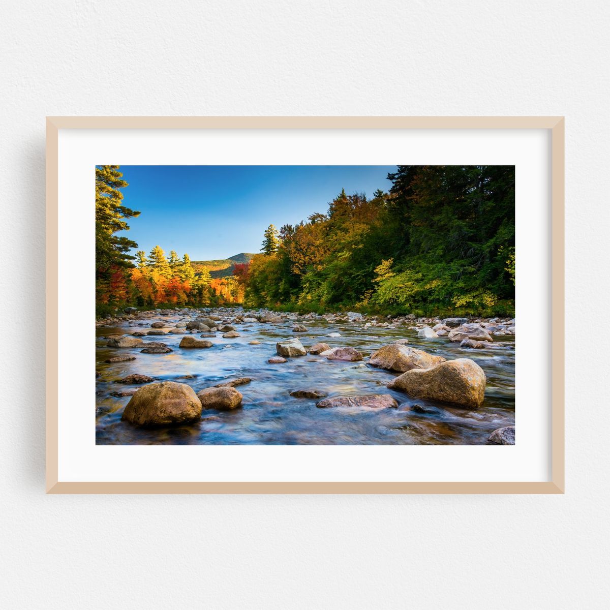 Swift River 01 – image 1 of 6
