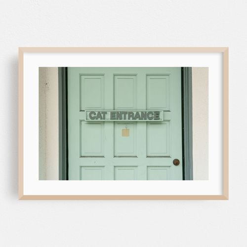 Cat Entrance