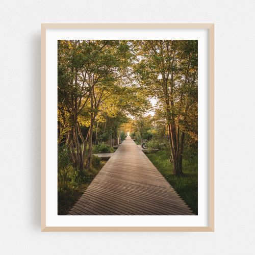 Atlantic Walk