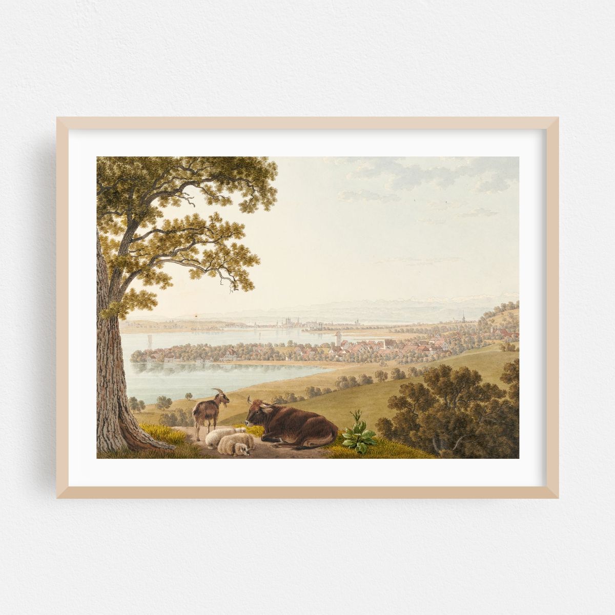 Arenenberg, Ausblick gegen Osten – image 1 of 3