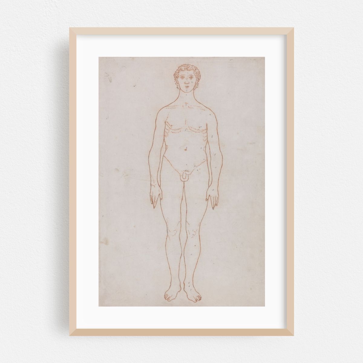 Study of the Human Figure, Anterior View (1795 to 1806) – image 1 of 16