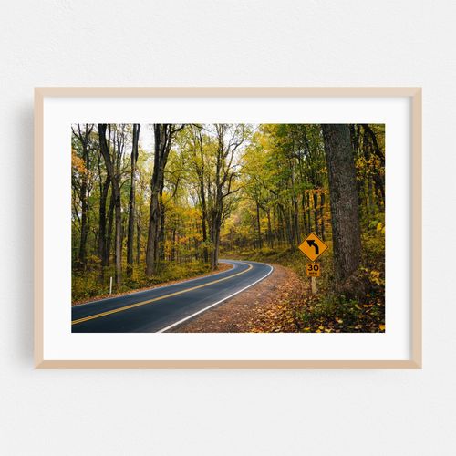 Skyline Drive, Shenandoah National Park 01
