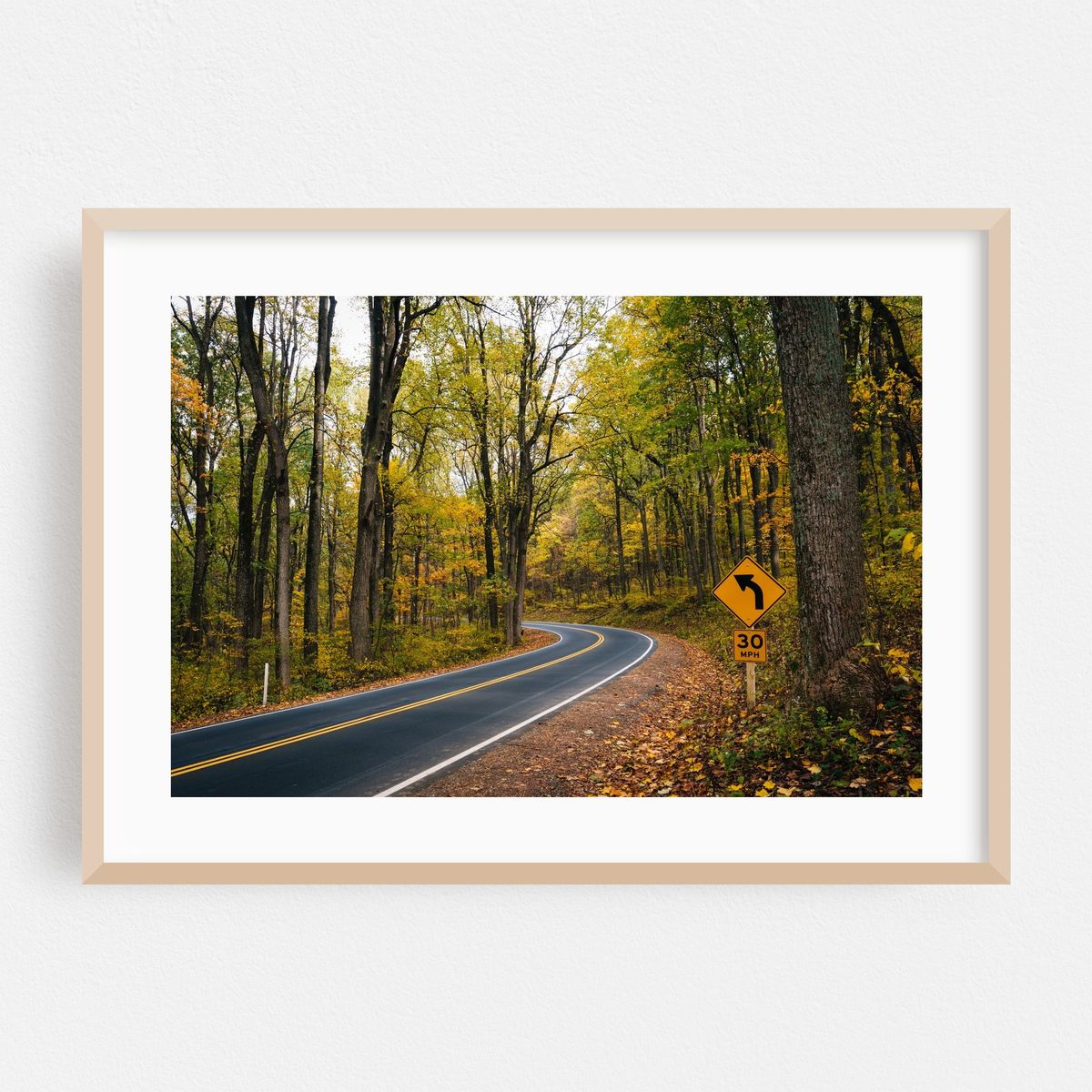 Skyline Drive, Shenandoah National Park 01 – image 1 of 6