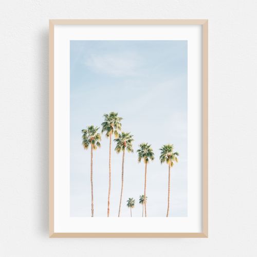 Palms, Palm Springs 03