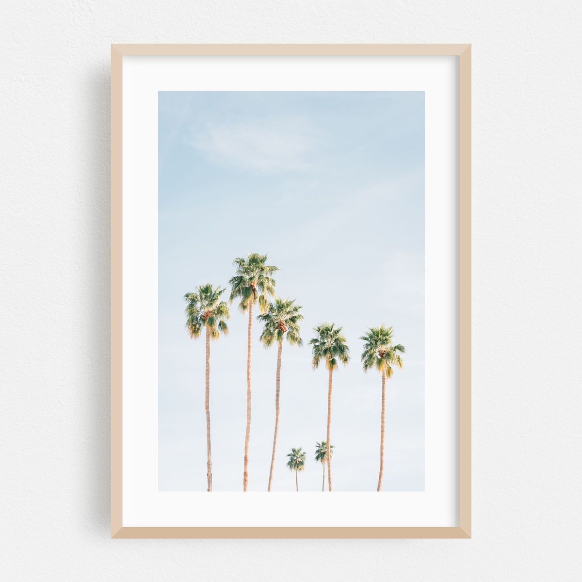 Palms, Palm Springs 03 – image 1 of 16