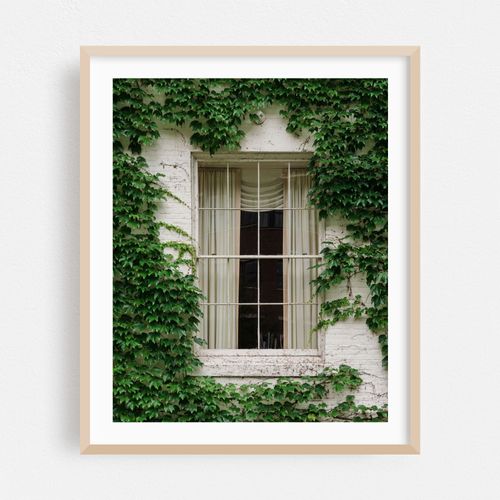 White House, Burlington 02