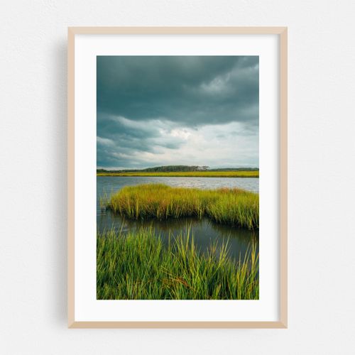 Assateague Island Marsh 02