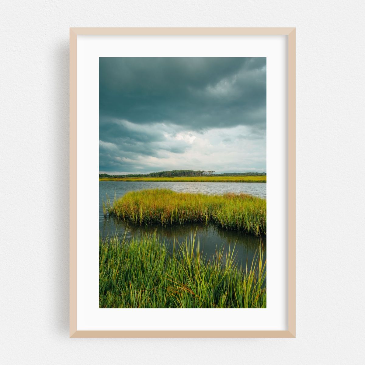 Assateague Island Marsh 02 – image 1 of 16