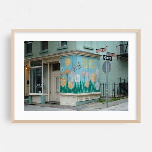 Vinegar Hill, Brooklyn 01