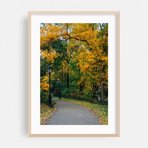 Central Park Autumn 03