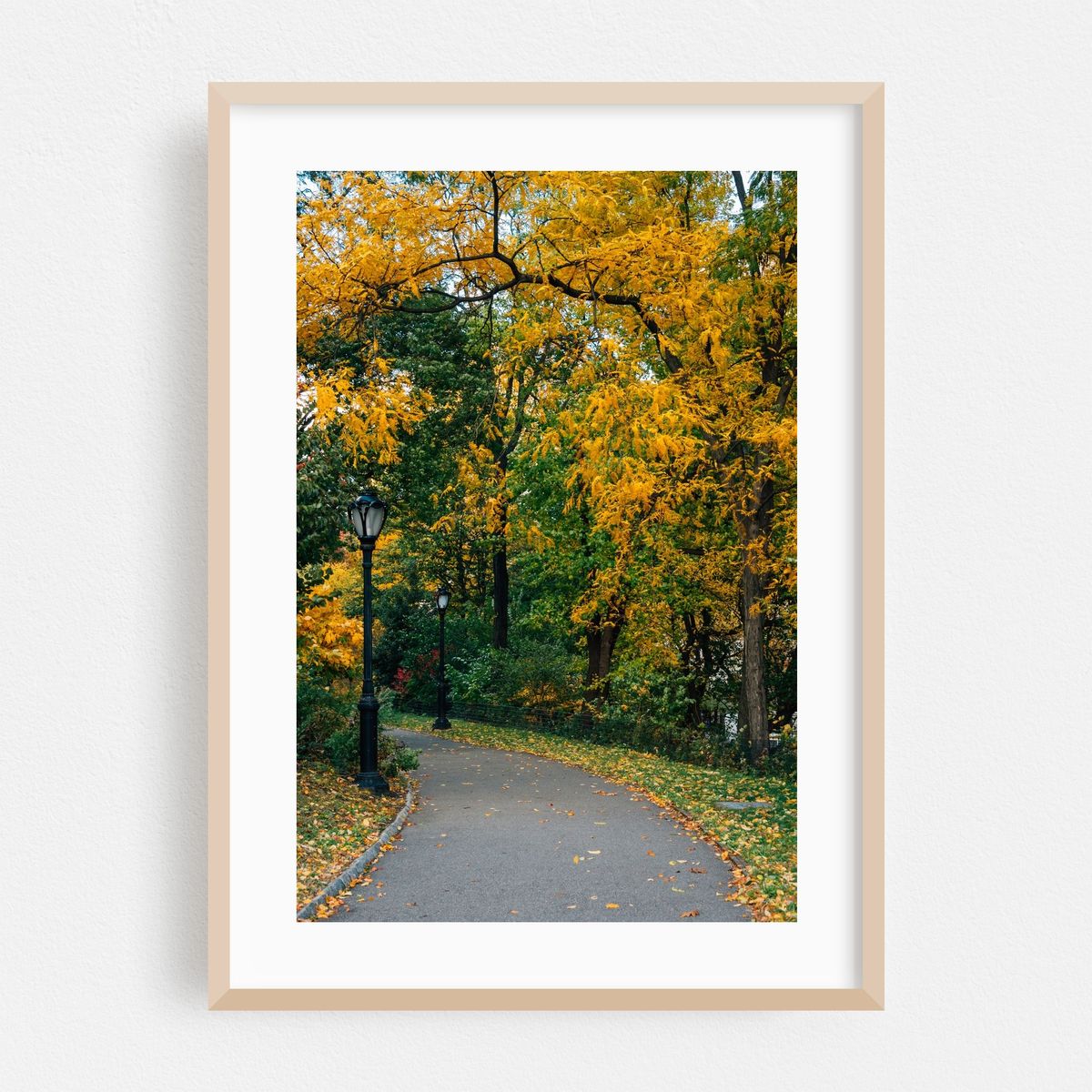 Central Park Autumn 03 – image 1 of 16