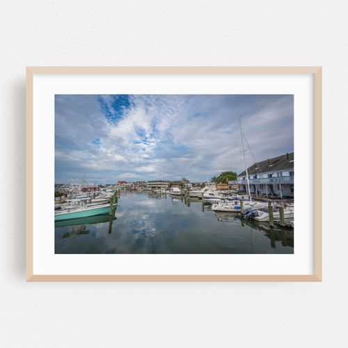 The Harbor, Cape May 02