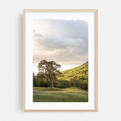 Scottish Highlands Landscape