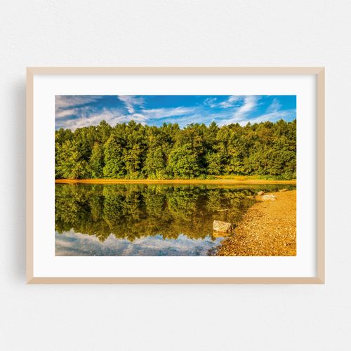 Lake Marburg Reflections
