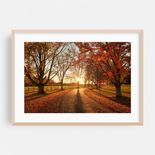 Autumn Sunset, Knox Farm 02