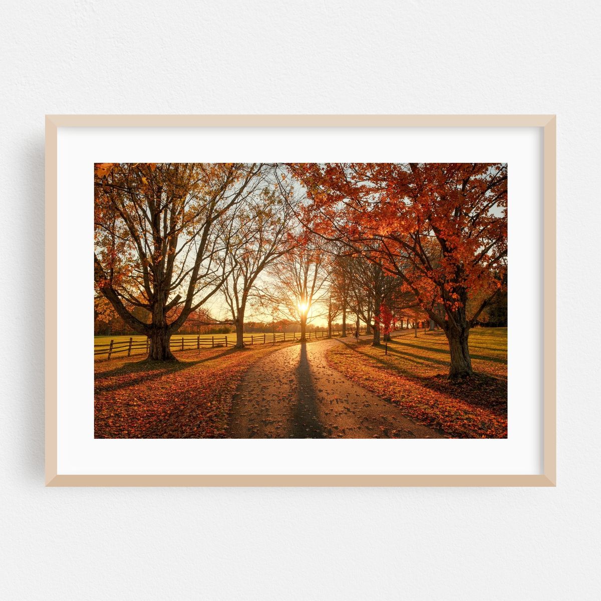 Autumn Sunset, Knox Farm 02 – image 1 of 6
