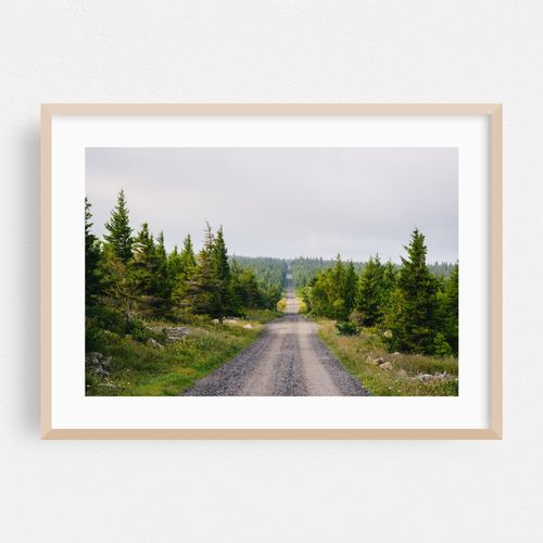 Dolly Sods Wilderness No. 2