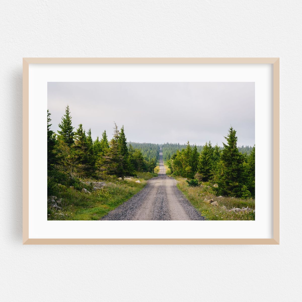 Dolly Sods Wilderness No. 2 – image 1 of 6