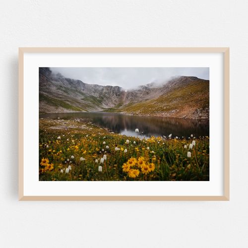Misty Moody Morning at Mount Evans