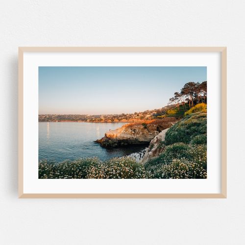 La Jolla Cove 02