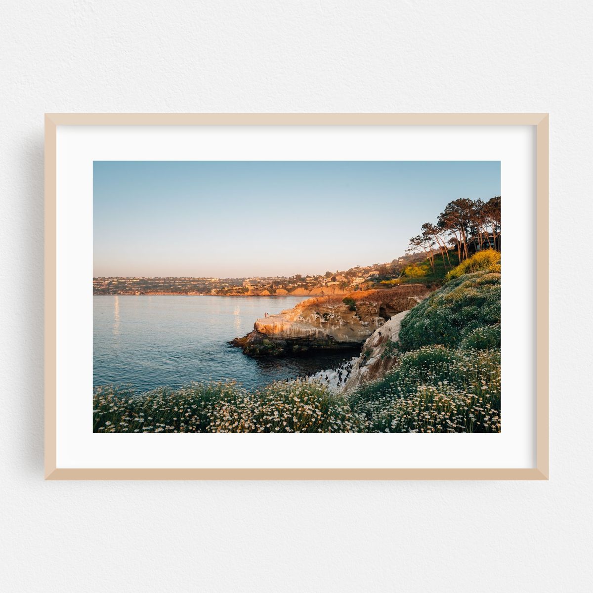 La Jolla Cove 02 – image 1 of 9