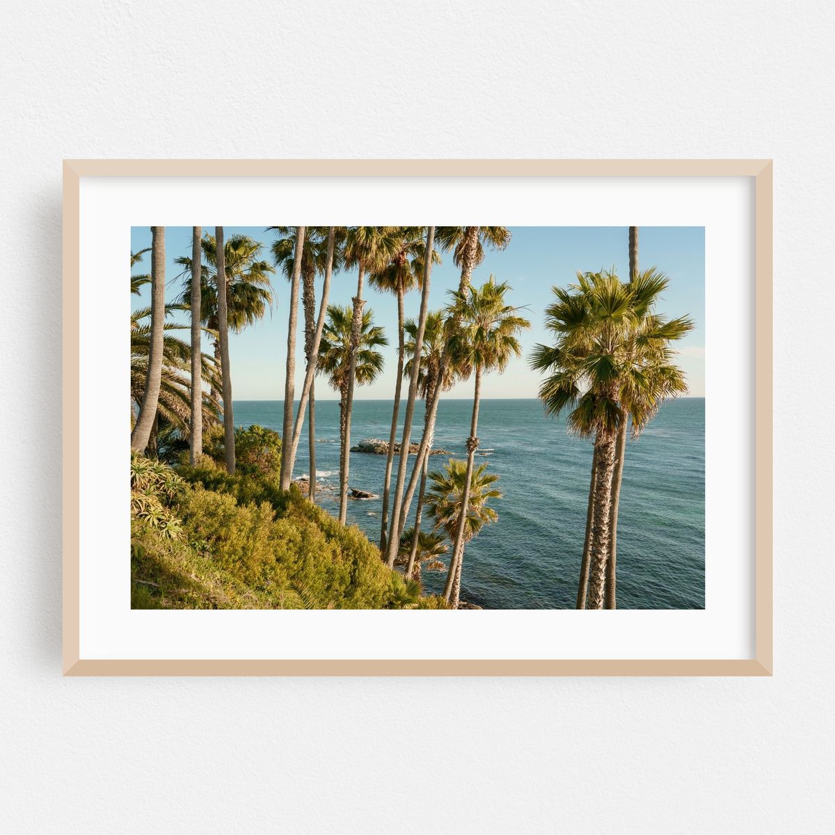 Palms at Heisler Park, Laguna Beach 02 – image 1 of 6