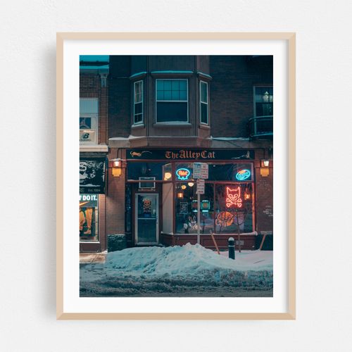 The Alley Cat, Buffalo