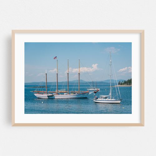 Sailing Bar Harbor