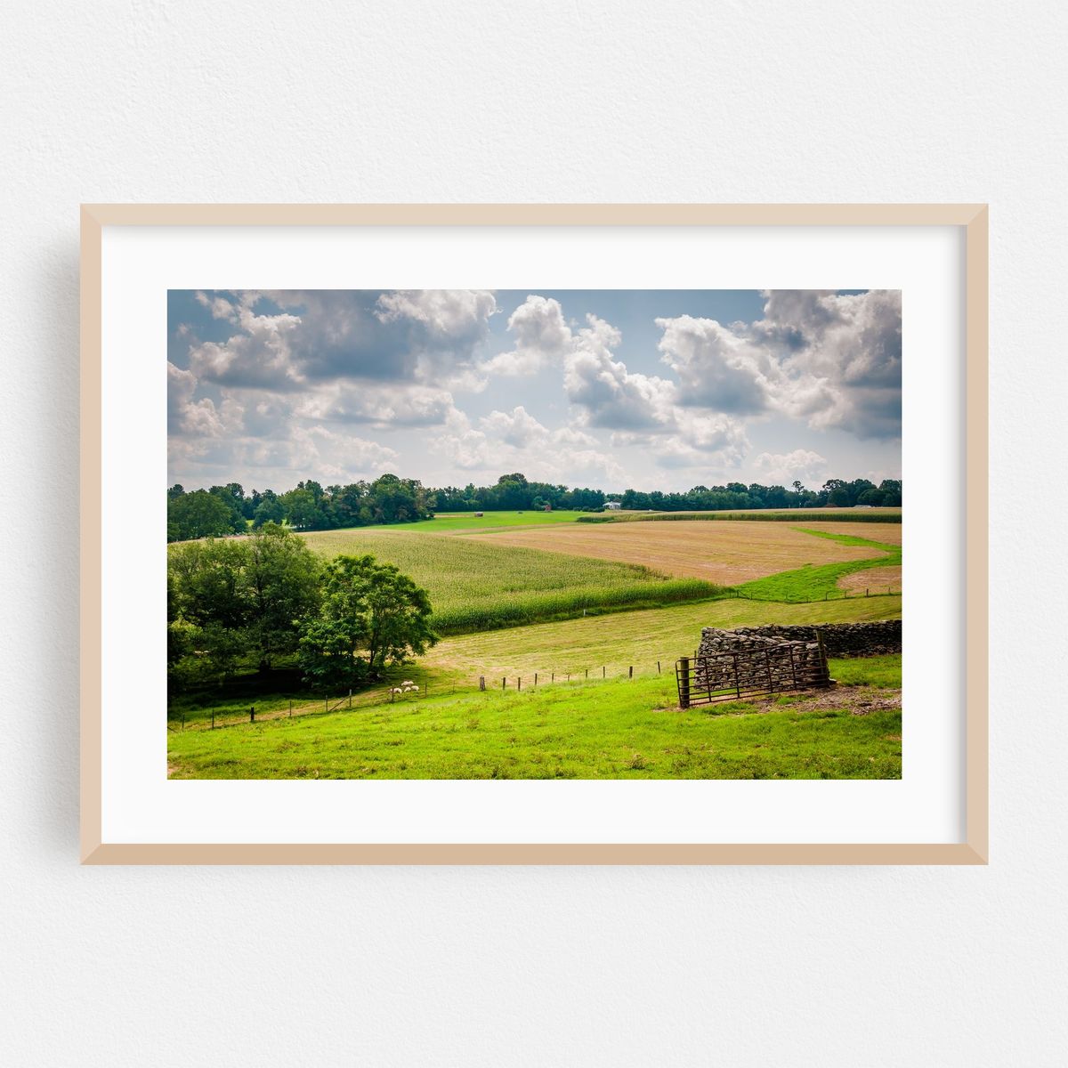 Fresh Air 02 – image 1 of 6
