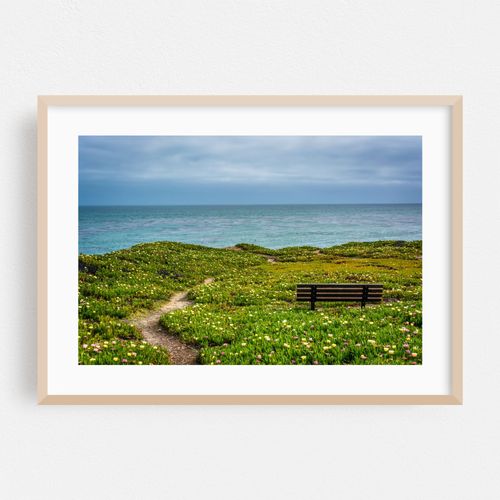 Bench over the Pacific