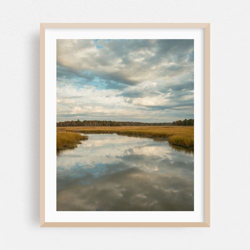 Wetland in Heislerville 01