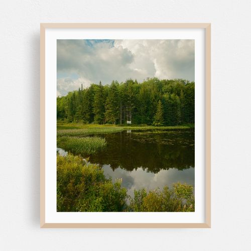 Lake Alma, Averys Place 04