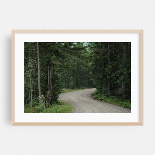Old Cherry Mountain Road 03