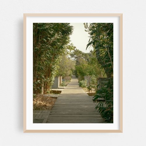 Walkway in Fair Harbor, Fire Island 02