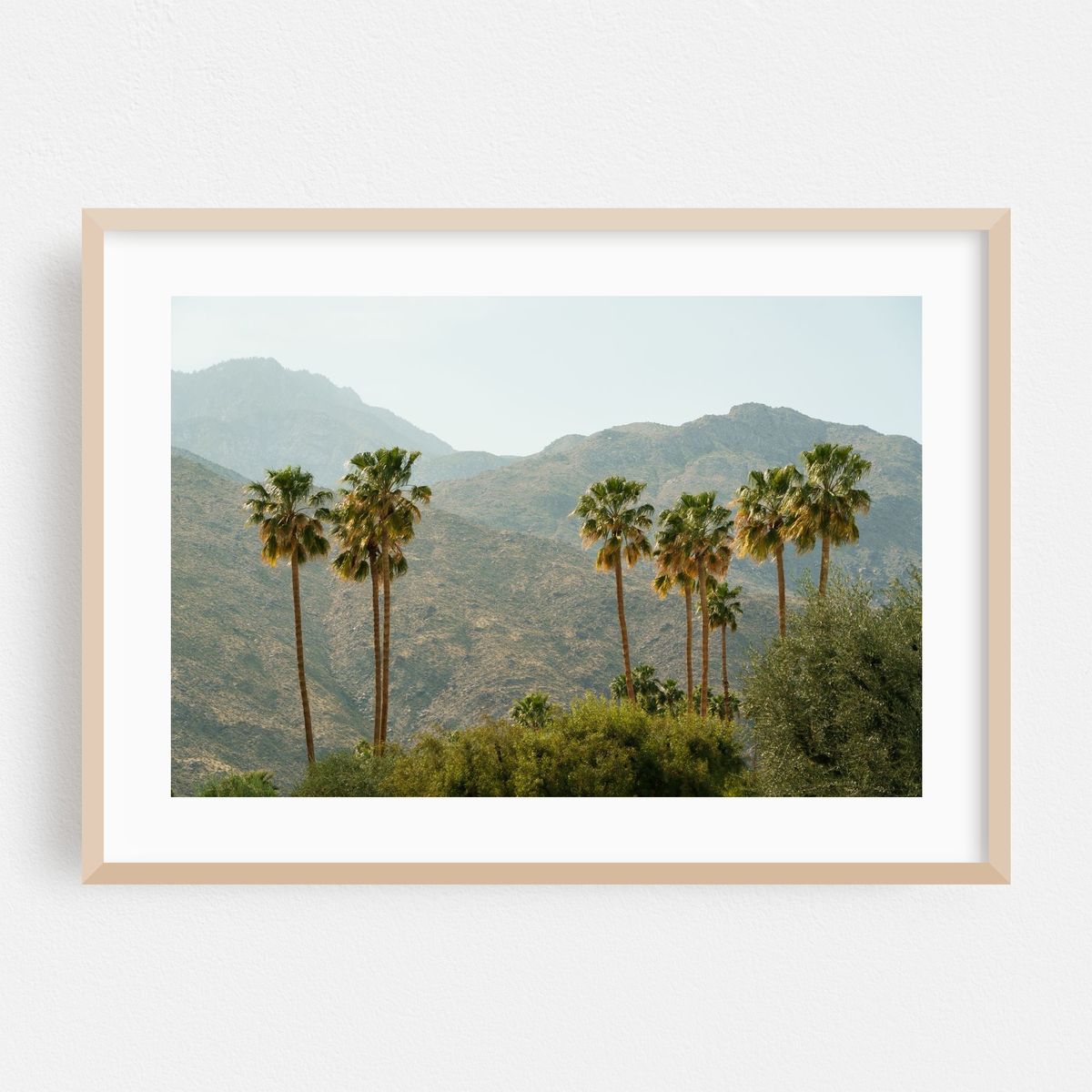 Palm Trees & Mountains, Palm Springs – image 1 of 6