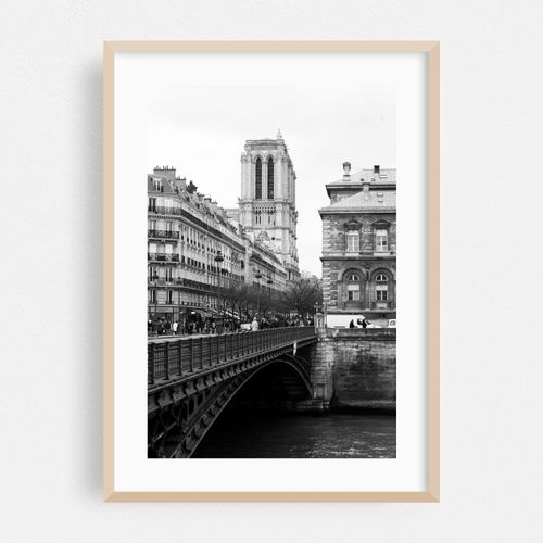 Cathédrale Notre-Dame de Paris 02