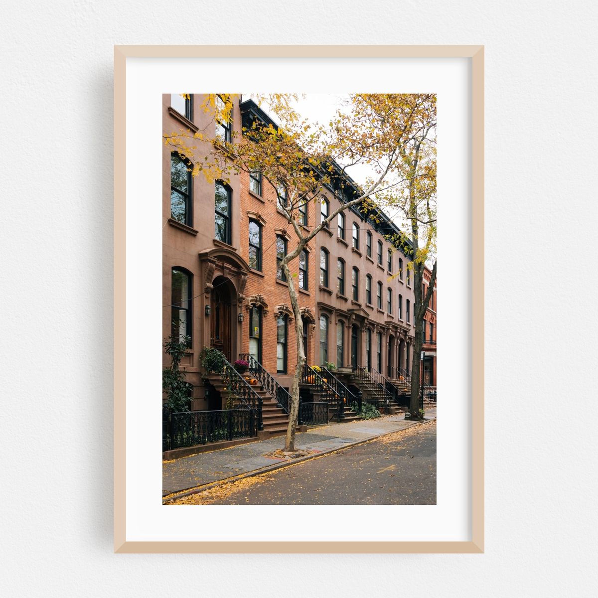 BK Heights Autumn 01 – image 1 of 16