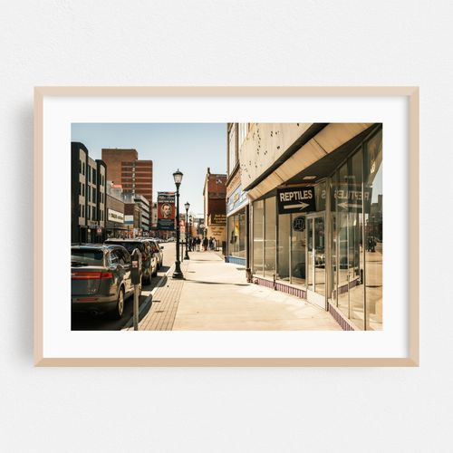 Reptiles, Wilkes-Barre