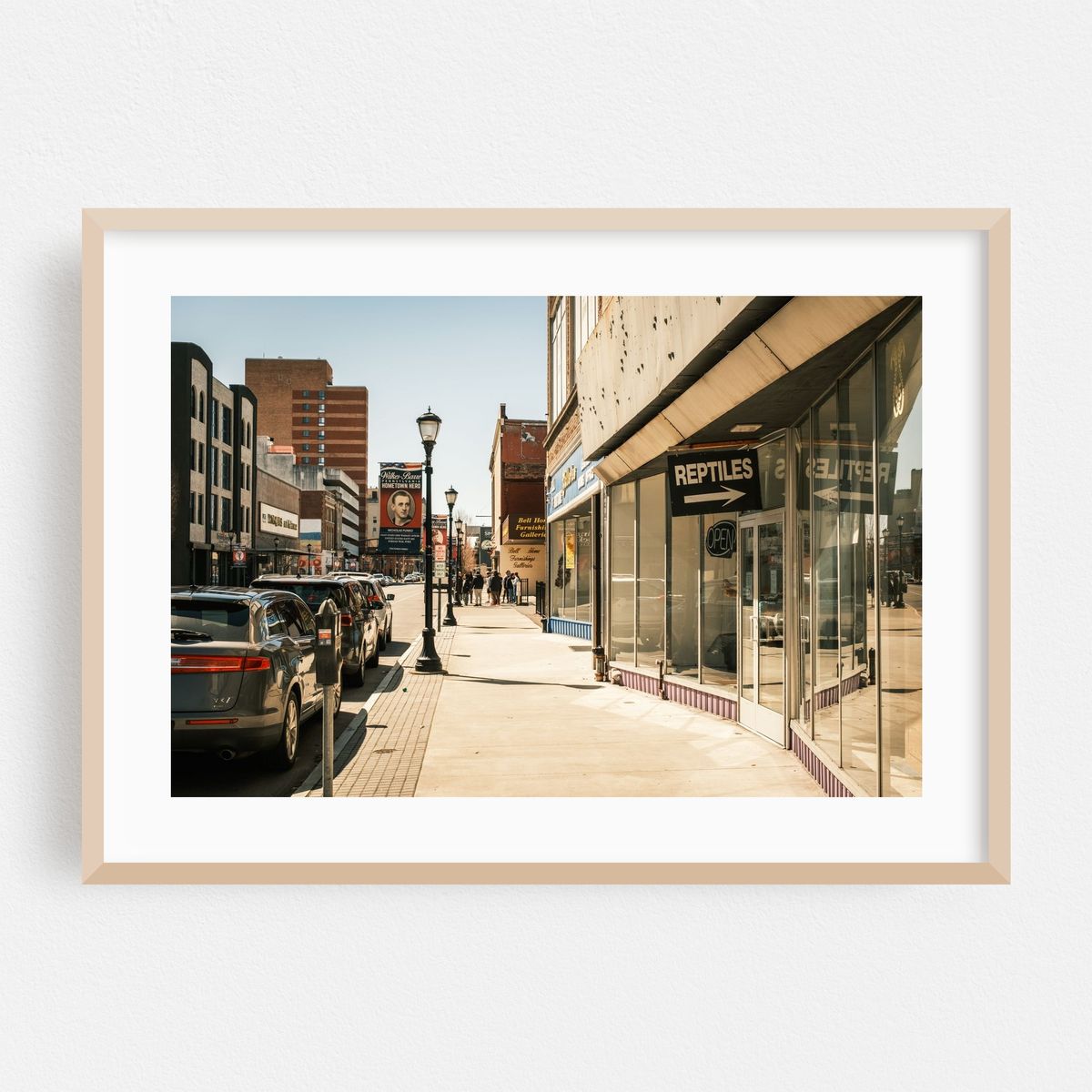 Reptiles, Wilkes-Barre – image 1 of 6