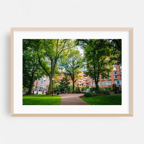 Public Gardens Walkway 04