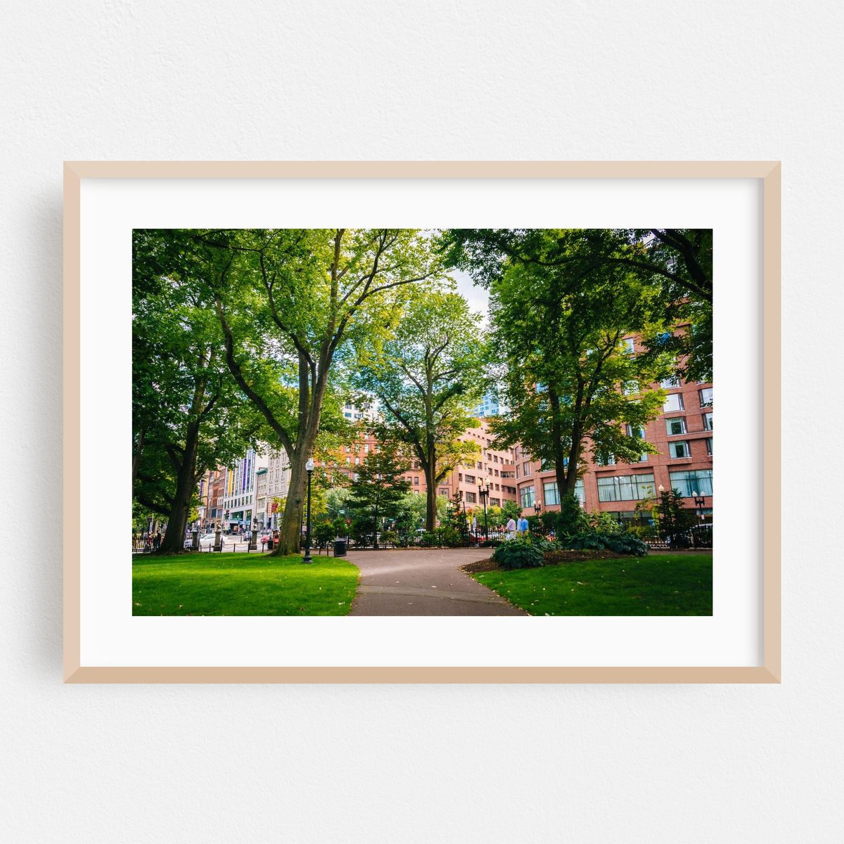 Public Gardens Walkway 04 – image 1 of 6