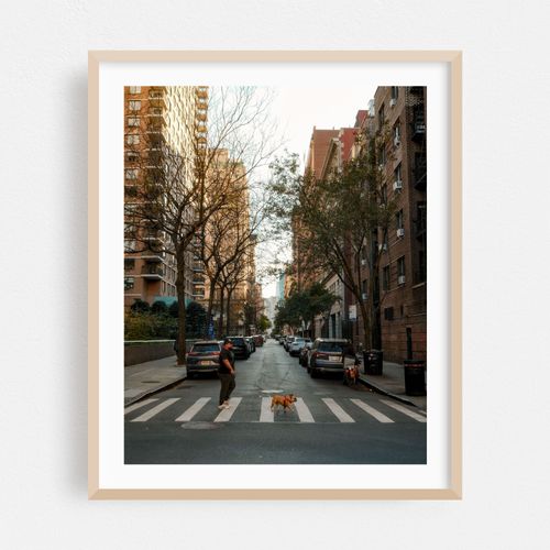 City Stroll