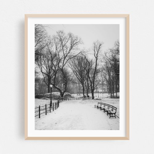 Snowy Central Park 01 B&W