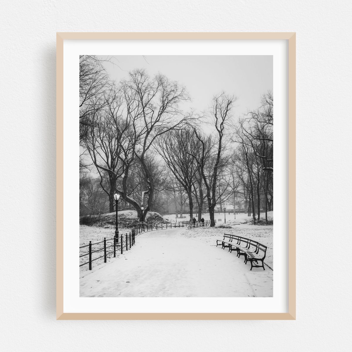 Snowy Central Park 01 B&W – image 1 of 12