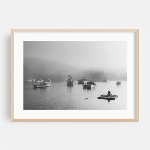 Fog in Cutler B&W 01
