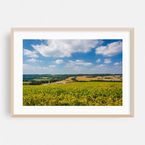Rolling Hills, Open Fields